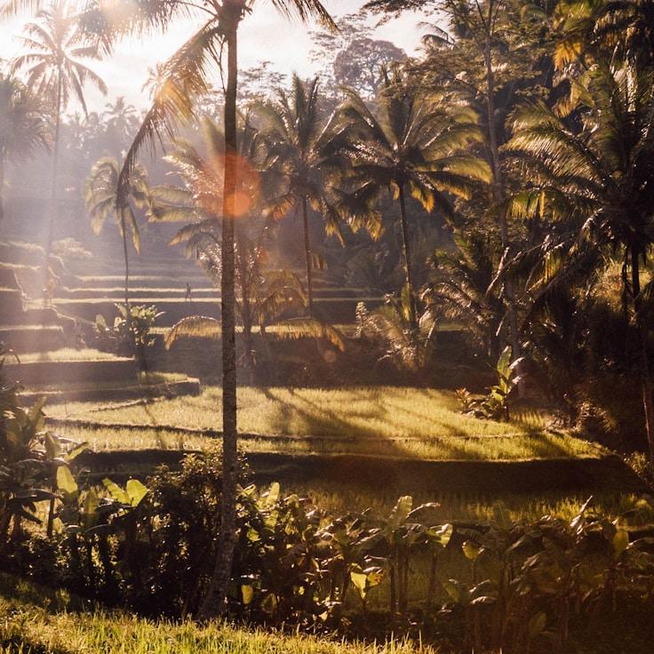 Entertainment zone at night in Germany